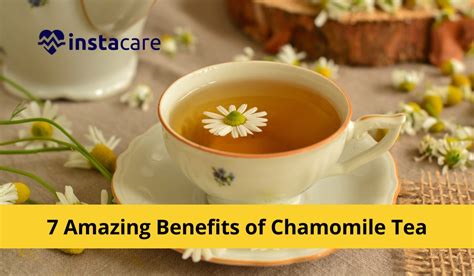 The Magical Aura of Chamomile: Enhancing Mental Clarity and Focus